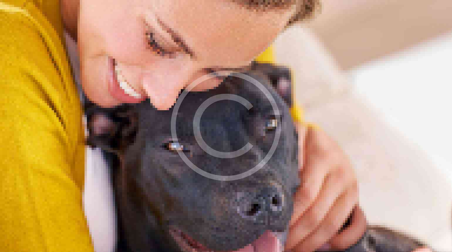 Heartworm: One Bite, One  Infection, That’s Enough